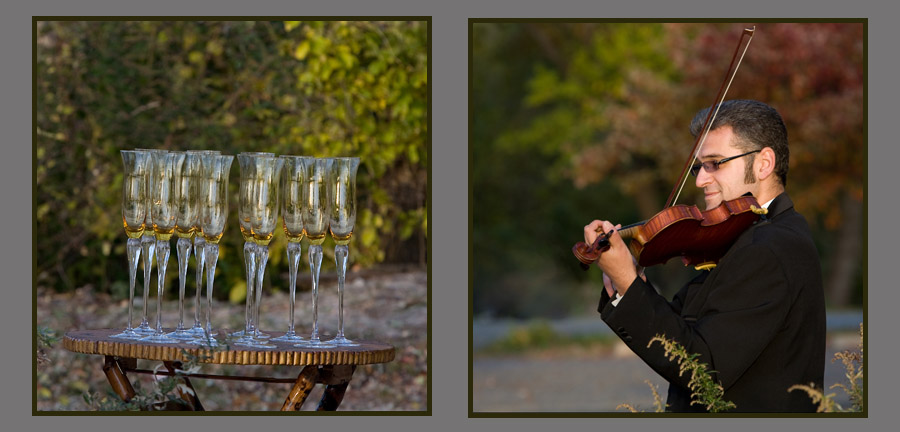fun wedding details - champagne glasses and violinist