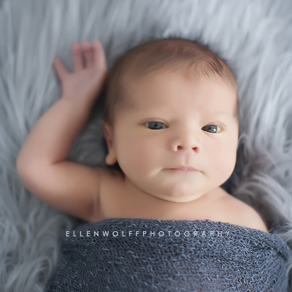 connecticut newborn photographer newborn portrait