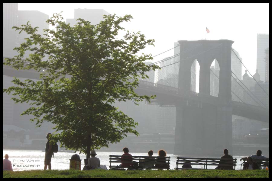 The Brooklyn Bridge