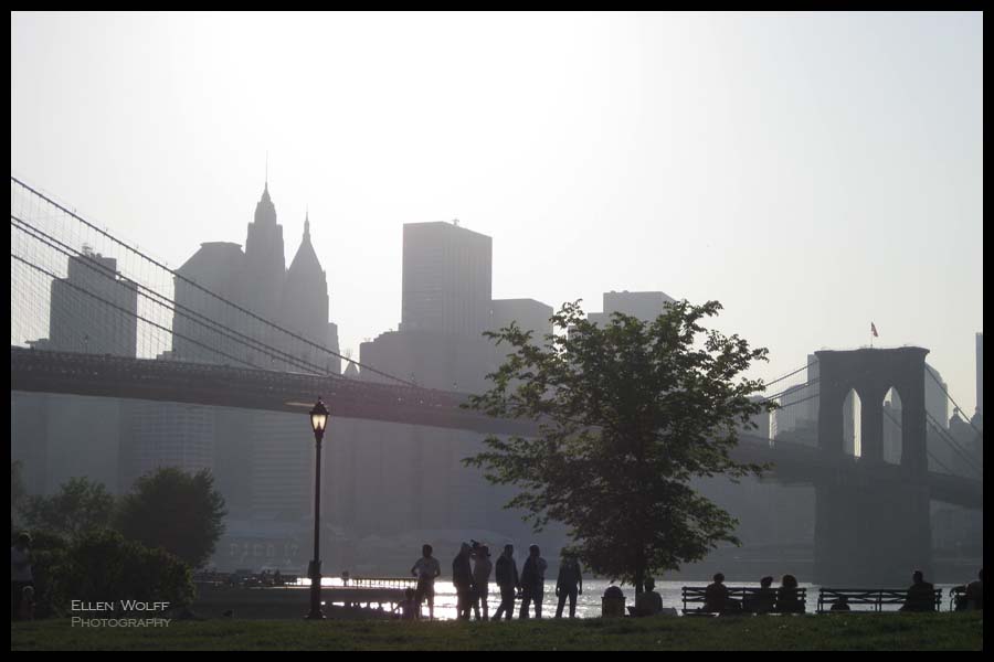 The Brooklyn Bridge