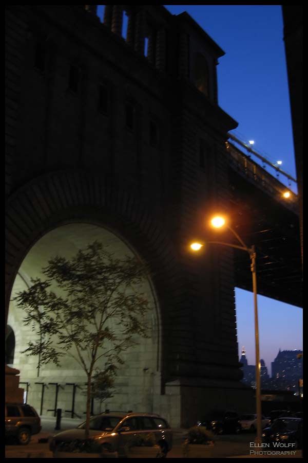 a tree grown under The Manhattan Bridge