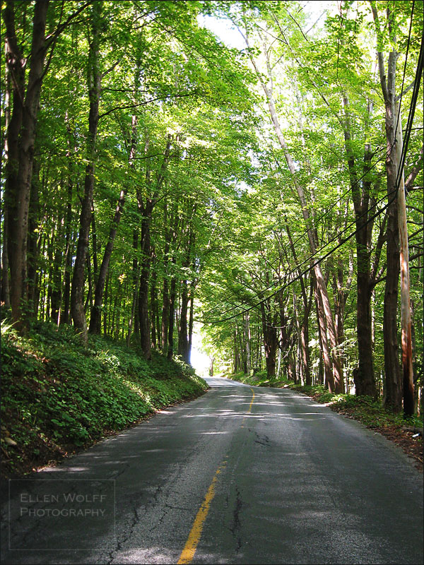road-img_1188 road-img_1188