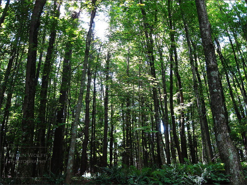 Bear Hill Rd New Milford CT