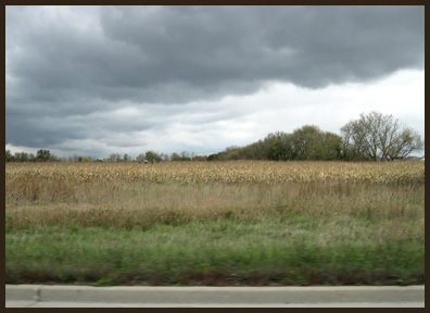 1299-more-corn