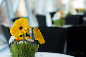fresh daisy florals with grass for cocktail tables